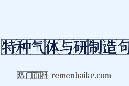 特种气体与研制造句是什么意思的图片